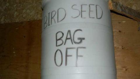 My seeds grow here - Technical-Farm-Mill50.jpg