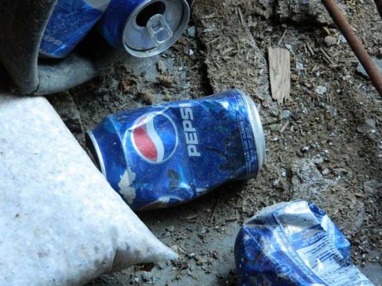 My seeds grow here - Technical-Farm-Mill14.jpg