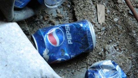 My seeds grow here - Technical-Farm-Mill14.jpg