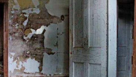 OAPMeet'13 Flr Gone Conclusion - OAP Meet 5x camN 096crli.jpg