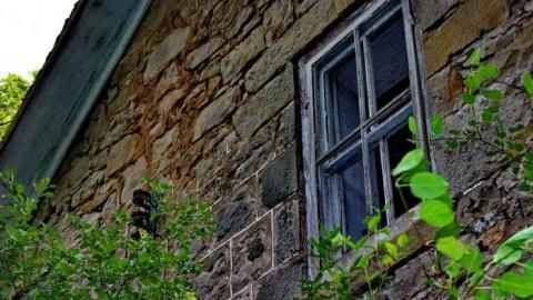 OAPMeet'13 Flr Gone Conclusion - OAP Meet 5x camN 100lico.jpg