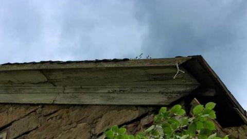 OAPMeet'13 Flr Gone Conclusion - OAP Meet 5x camN 101lico.jpg