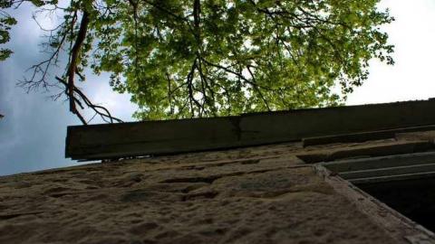 OAPMeet'13 Flr Gone Conclusion - OAP Meet 5x camN 103lico.jpg