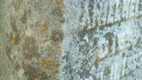 Cemetery - Umfraville-(ghost-town)85.jpg