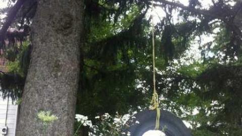 Kicked in - Donalds-death7.jpg