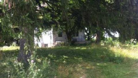 Kicked in - Donalds-death12.jpg