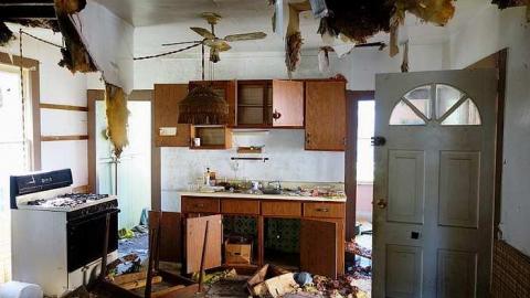 just a hole in the wall - Holey-Sht28.jpg