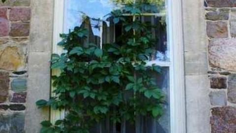 Summer Meet Fibonacci  - Scenic-Farm-on-Township-Rd.-3123.jpg