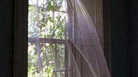 Summer Meet Fibonacci  - Scenic-Farm-on-Township-Rd.-3134.jpg