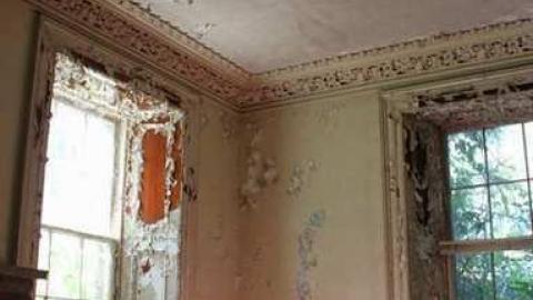 Summer Meet Fibonacci  - Scenic-Farm-on-Township-Rd.-3135.jpg