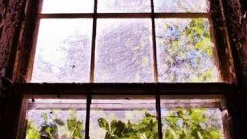 Summer Meet Fibonacci  - Scenic-Farm-on-Township-Rd.-3125.jpg