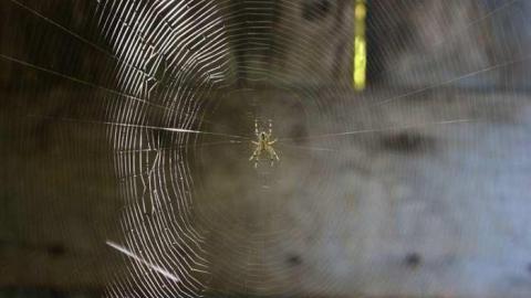 Summer Meet Fibonacci  - Scenic-Farm-on-Township-Rd.-3126.jpg