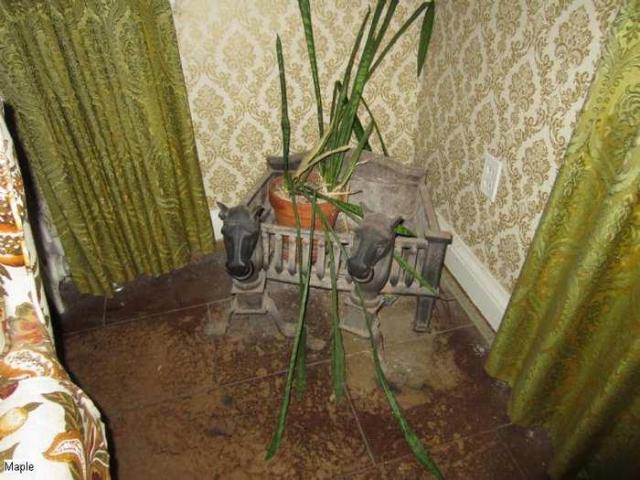 This one's For Arne photo 3