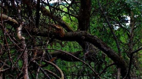 OAP Meet '13 Calculated Risk - Beautiful-Stone-House211.jpg