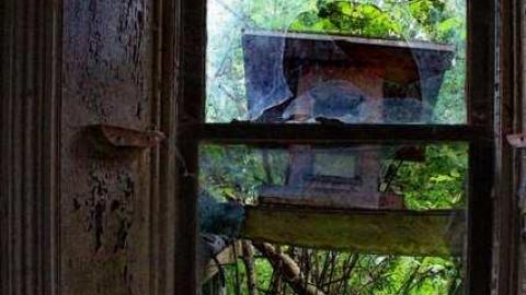 OAP Meet '13 Calculated Risk - Beautiful-Stone-House15.jpg