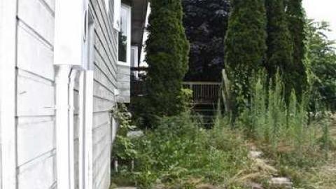 Still Alive! - Damned-Developers71.jpg