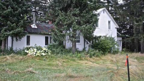 Still Alive! - Damned-Developers11.jpg