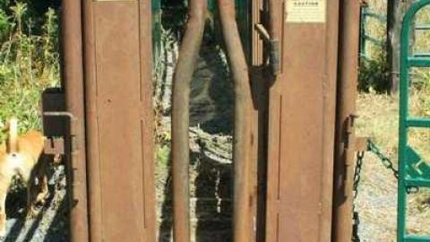 Rattray Cheese Factory - Frontenac Islands, Ontario