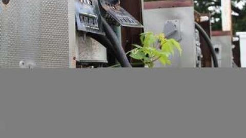 Gas Pumps - Gas-Station-on-Montreal2.jpg