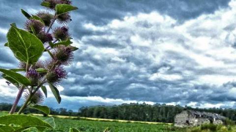 OAP Meet 2013 - 12.jpg