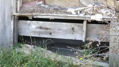 Gould House - Gould-Homestead-Foley8.jpg