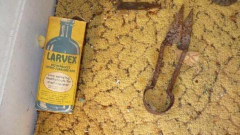 Such Treasures Within photo 2