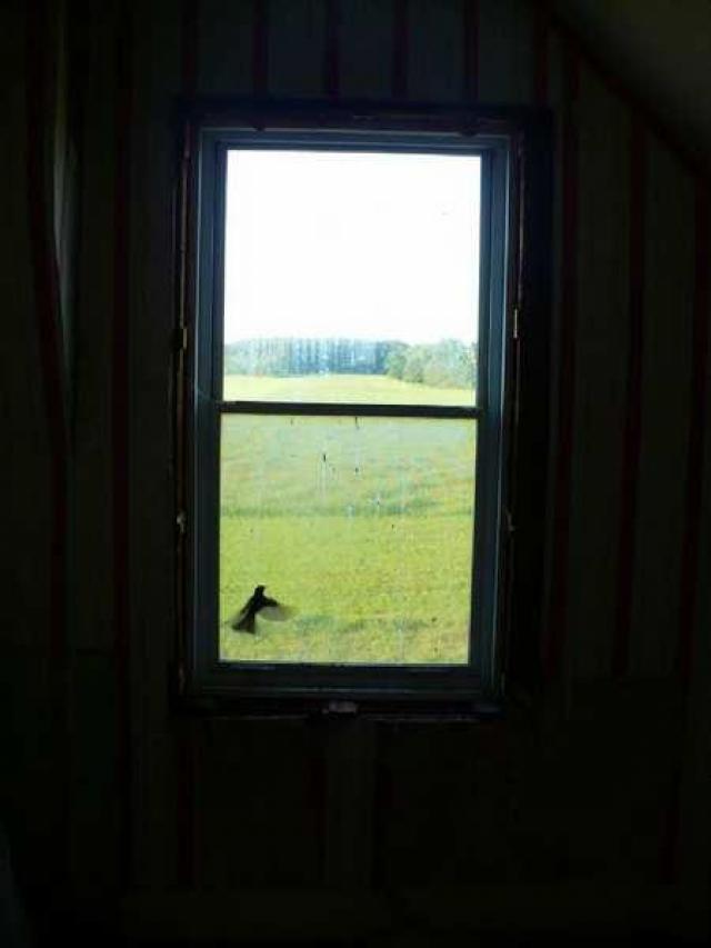 Such Treasures Within photo 4