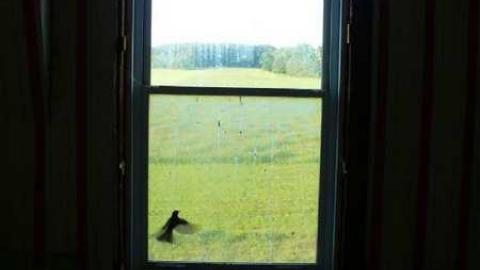 Such Treasures Within photo 4