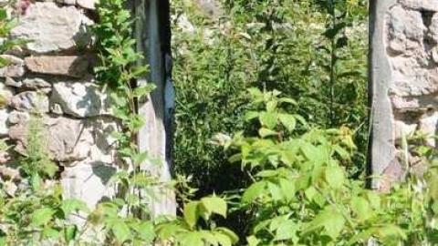 Photo from Aug 4 2013