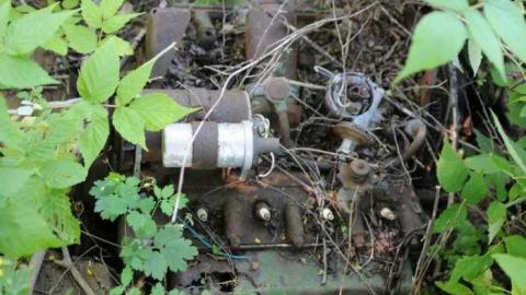 Aug 4 2013 - Stone-Ruins-Belfountain12.jpg