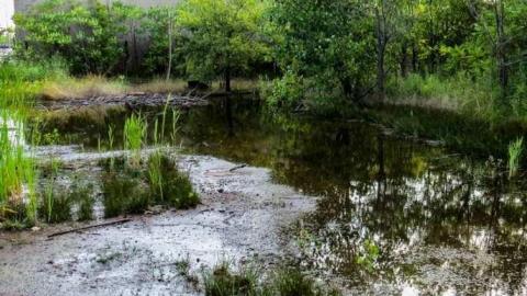 Ghosts of Imtrex - 6b.jpg