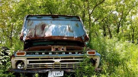 Aug 2013 - DSCF6248.jpg