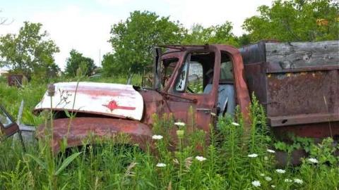 Aug 2013 - DSCF6254.jpg