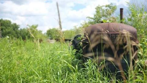 Aug 2013 - DSCF6258.jpg