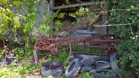 Aug 2013 - DSCF6274.jpg