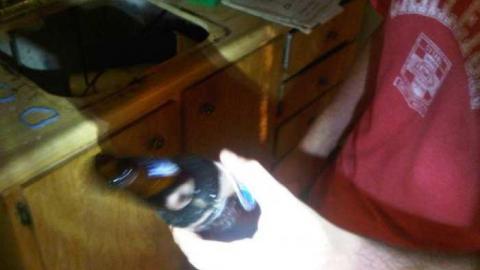 Forgot My Camera - IMG-20130805-00322.jpg