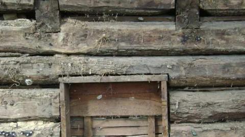 3564 - 853-Powerline-Rd.6.jpg