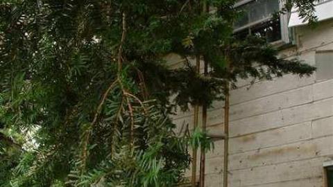 93 McMillan Rd. photo 4