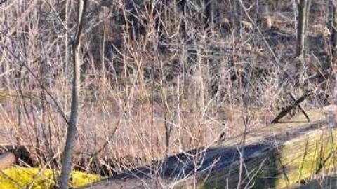 5973 - Derailed13.jpg