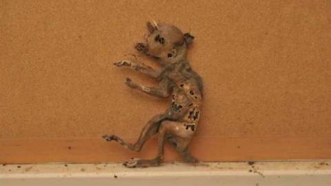 Farringdon School photo 4