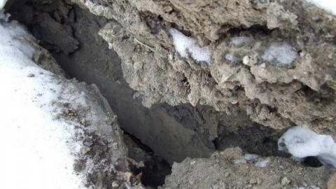 Newport House photo 5