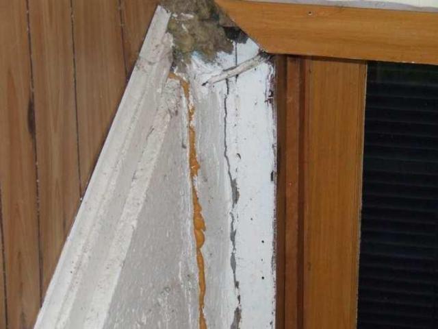 Newport House - Brant, Ontario