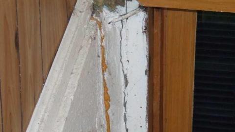 6390 - Newport-House10.jpg