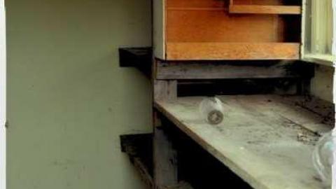 5623 - Nursery-Crimes3.jpg