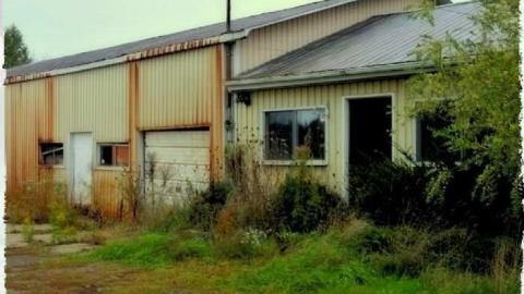 5623 - Nursery-Crimes11.jpg