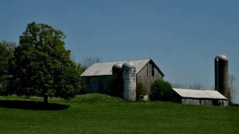 4724 - MSP_6743fb.jpg