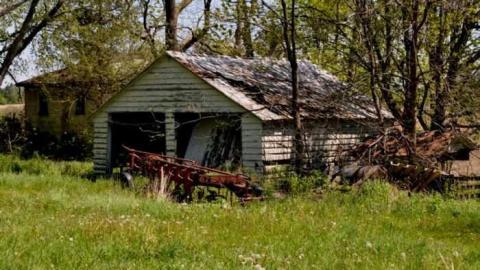 4724 - MSP_6749fb.jpg