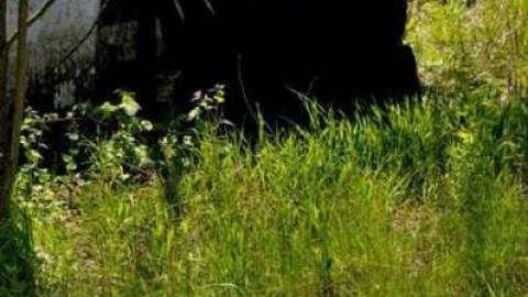 4724 - MSP_6750fb.jpg