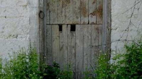 4724 - MSP_6751fb.jpg