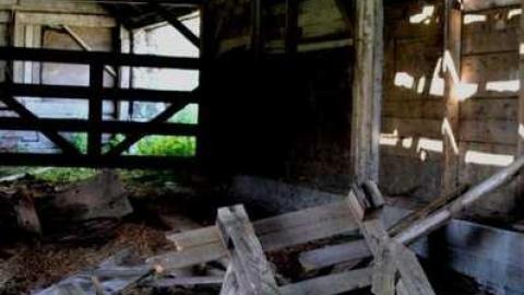 4724 - MSP_6761fb.jpg